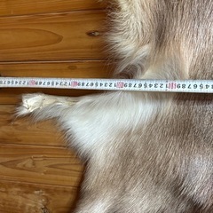シカの毛皮　美品　欲しい方差し上げますの画像