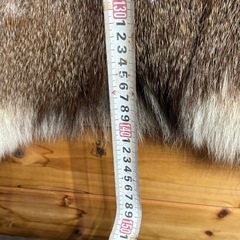 シカの毛皮　美品　欲しい方差し上げますの画像