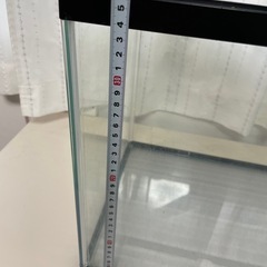 水槽　60cmの画像