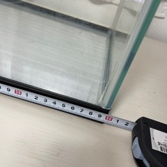 水槽　60cmの画像