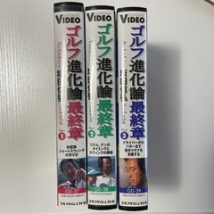ゴルフ進化論の画像