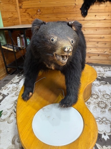 子熊の剥製欲しい方差し上げます (chime) 戸越銀座のインテリア雑貨