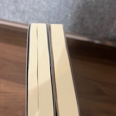 怪盗フラヌールの巡回の画像