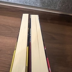 怪盗フラヌールの巡回の画像