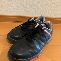 ゴルフセット一色　シューズ付きの画像