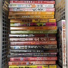 ソルトフィッシングのDVD 約70枚の画像