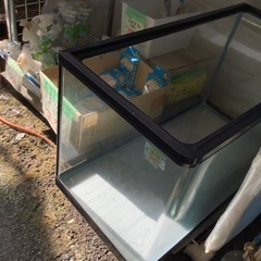 未使用 水槽 W60cm 管4250823HK (ベストバイ 静岡県袋井市)の画像
