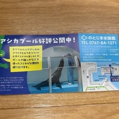のとじま水族館 ✨️無料チケット✨️の画像