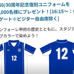 ヴァンフォーレ甲府　ユニホームサインボール＆フラッグの画像