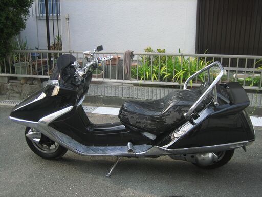 フュージョン　エンジン好調　動画有り