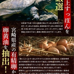 【新品】黒ニンニクとすっぽんのチカラ サプリ 牡蠣 シジミ エキス 完熟梅 亜麻仁油の画像