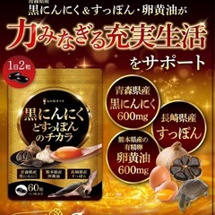 【新品】黒ニンニクとすっぽんのチカラ サプリ 牡蠣 シジミ エキス 完熟梅 亜麻仁油の画像