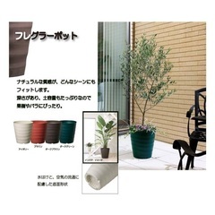 植木鉢/直接取引/さいたま市/宮原駅徒歩5分の画像