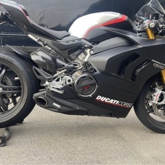 DucatiV4spの画像