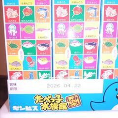 たべっこ水族館の画像