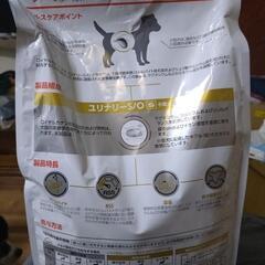犬食事療法尿路疾患用3キロの画像