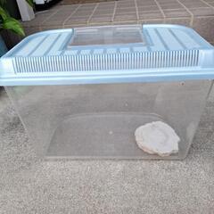 虫かごの画像