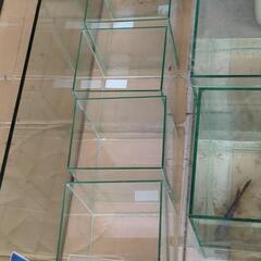 🦈ベタ色々な種類？とベタ用水槽７個𓆛の画像