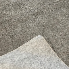 ニトリラグの画像