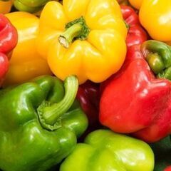 野菜果実（トマト・いも・玉ねぎ・人参・ナス等）の画像