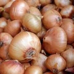 野菜果実（トマト・いも・玉ねぎ・人参・ナス等）の画像