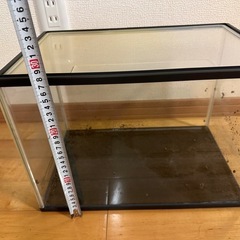 ⑤【沖尚優勝🏆セール】水槽　の画像