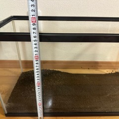 ⑥【沖尚優勝🏆セール】60cm水槽の画像