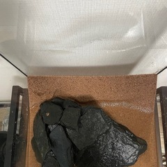 ウェーブガラス水槽、アクアリウム、熱帯魚、金魚、メダカの画像