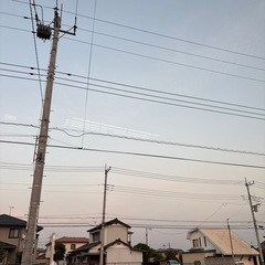 24（日曜日）
