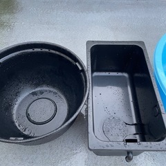 受け渡し予定有り　メダカ飼育セットの画像