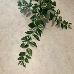 IKEA  イケア　フェイクグリーン  観葉植物　トラデスカンチア・ゼブリナの画像