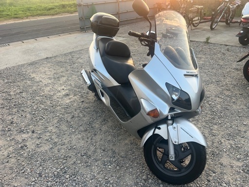 フォルツァMF06 5000キロ‼️早い者勝ち‼️