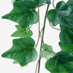 IKEA イケア フェイクグリーン  観葉植物　へデラ　アイビー タグ付きの画像