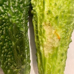 無農薬野菜セットの画像