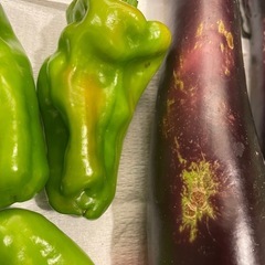 無農薬野菜セットの画像