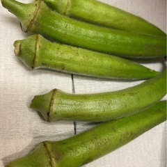 無農薬野菜セットの画像