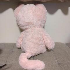 ねこのぬいぐるみの画像