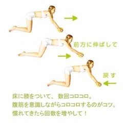 【新品同様】腹筋ローラー＋トレーニングマットの画像