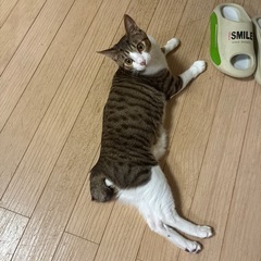 里親募集中