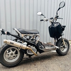 ★ズーマー風フルカスタム★大特価⭐︎カスタム車好き集まれ⭐︎HONDA ズーマーの画像