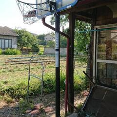 バスケットゴールの画像
