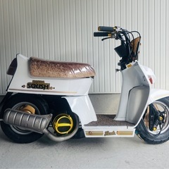 ホンダスカッシュ⭐️ローダウンカスタムの画像