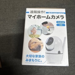 マイホームカメラの画像