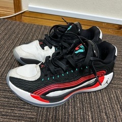 バスケットシューズluka4
の画像