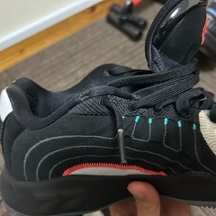 バスケットシューズluka4
の画像