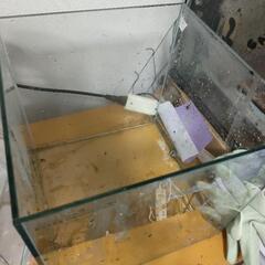30キューブ 水槽 本体の画像