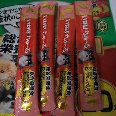 決まりました。ワンちゃん用の画像