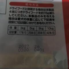 決まりました。ワンちゃん用の画像