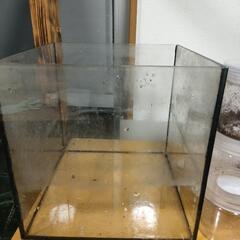 30キューブ 水槽 本体の画像