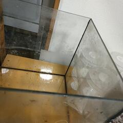 30キューブ 水槽 本体の画像